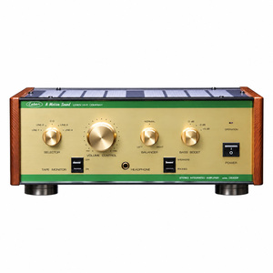 Leben CF300F  INTEGRATED AMPLIFIER