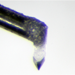 Stylus and Cartridge Inspection