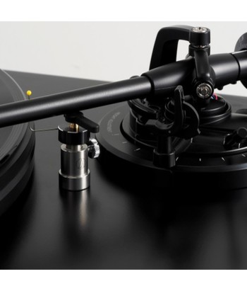 Tonearm Safety Raiser